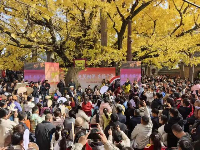 赵立坚微博打call日照银杏古树！附高清大图+进阶玩法！