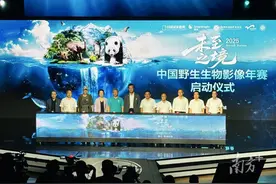 面向全球征稿！2025中国野生生物影像年赛在桂城启动图片