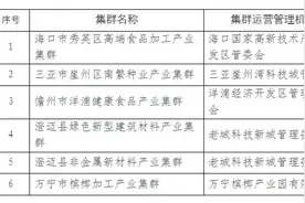 2024年度海南省中小企业特色产业集群名单正式公布图片