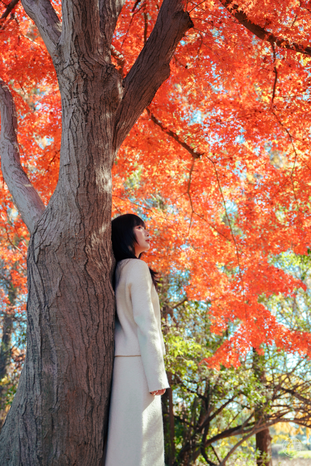 东湖这四处绝美秋景，出片率100%