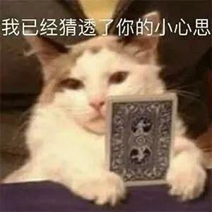趣玩盐源 | 抓住暑假的尾巴！迎接新学期前的清凉抚慰