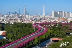 235天！广州正式打破最长夏天纪录图片