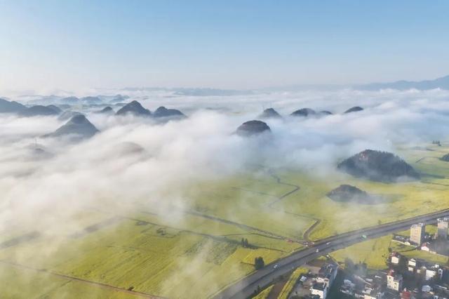 世界最大的自然天成花园｜曲靖罗平早春限定画卷