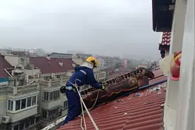 逆“风”而行 浦东消防抗台风在行动图片