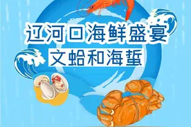 辽河口海鲜盛宴：文蛤和海蜇图片