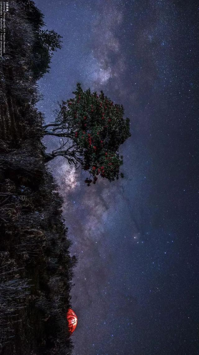 等一场与星辰的私奔！在大理观星，是件浪漫的事