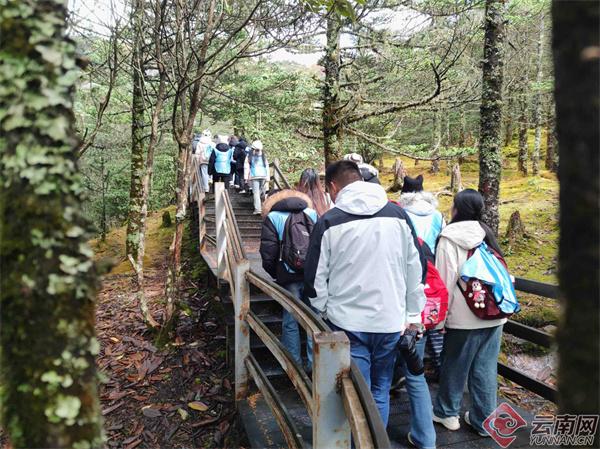 这场调研为轿子山生态科普宣传贡献“跨界智慧”