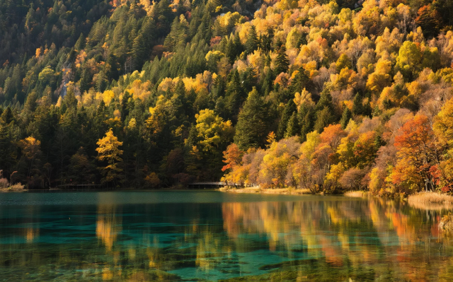 劝你别秋天去九寨沟，因为美得太“犯规”，会不想回来！