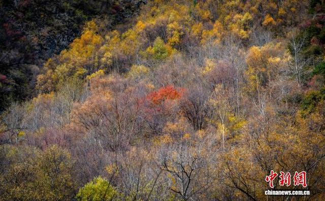 四川茂县松坪沟景区斑斓彩林如画