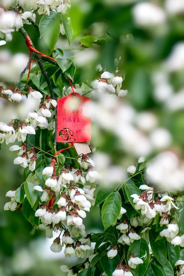 四时天工 扬州如画