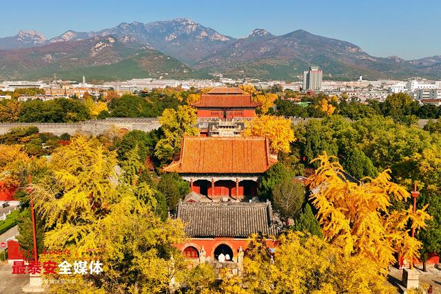 千年岱庙 一庭秋色