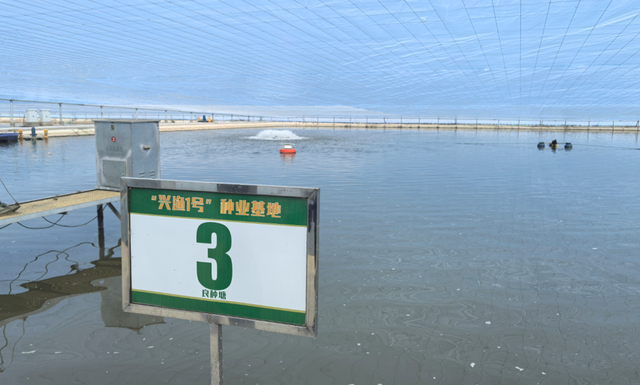 云薖园明起免费开放