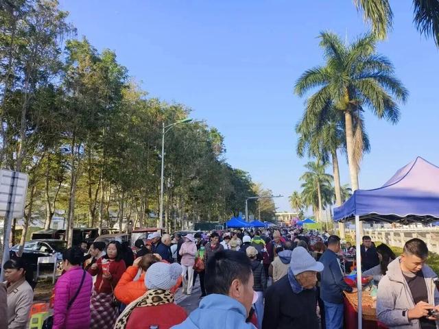 白沙喜提国家2A级旅游景区，陨石坑生态茶园+集市周末联动玩法请收藏！