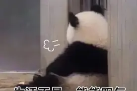 娃儿眼中的你≈你眼中的领导？图片
