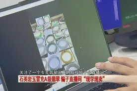 警惕警惕！石英岩玉冒充A级翡翠，骗子直播间“现学现卖”！图片