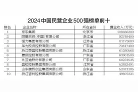 2024中国民营企业500强公布 隆基绿能等3家陕西企业上榜图片