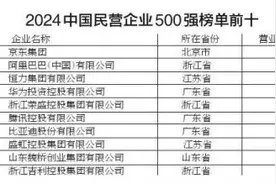 2024中国民营企业500强公布 隆基绿能等3家陕西企业上榜图片