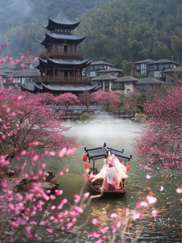 今日大寒｜岁暮天寒处，静候春归时