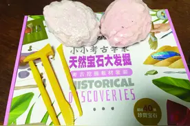 石膏中能挖出“恐龙化石”或“宝石”  小心，考古盲盒暗藏这些风险图片