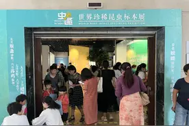 人物专访|与大自然中的精灵“虫·逢”，专访焦猛博士探昆虫奥秘，辟可怕的谣言涨有用的知识图片