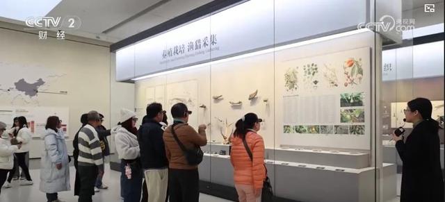 从“冰雪游”到“文化行”：入境游“热潮”涌动 中华文化魅力引外国游客深度打卡