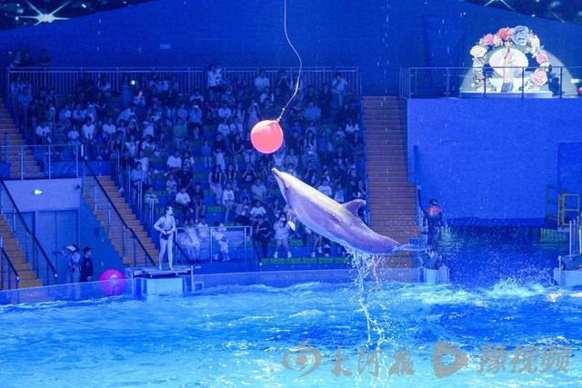 鸡公山、龙潭大峡谷、宝泉崖天下…河南多家景区元旦免票！这份跨年攻略快收好