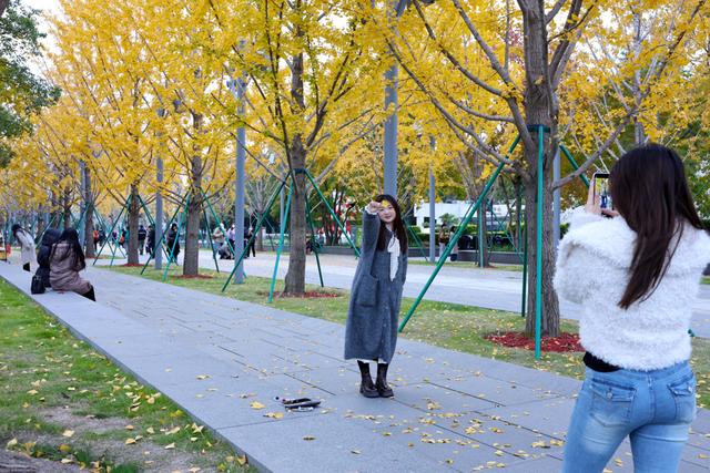 美景叠加禅意：龙华寺成为上海热门赏秋胜地