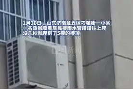 泼猴闯入济南一小区，上蹿下跳还爬水管上5楼，居民：没人能逮住它图片