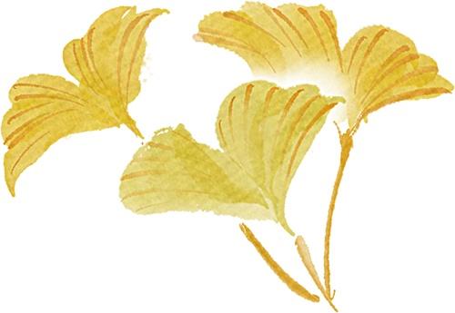 北京的秋日浓度正在拉满！这次把浪漫铺到了眼前