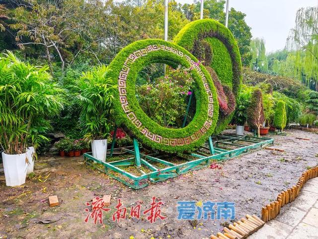 趵突泉菊花展筹备正酣，金秋文化盛宴即将开启