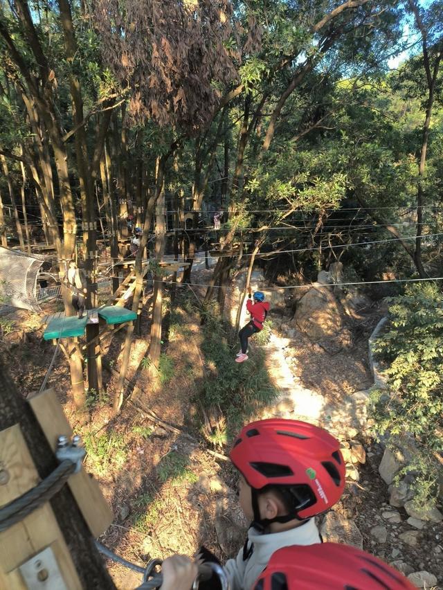 风穿林叶绳渡树间 龙岗园山这片营地邀您体验“飞檐走壁”