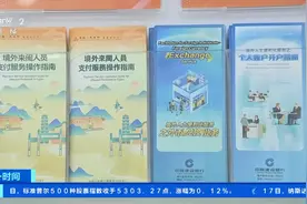 “中国的无现金支付方式非常好！”4月超200万入境人士使用移动支付！图片
