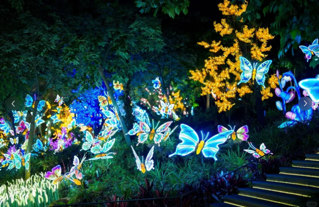 十一来宜都！看烟花秀、打铁花、万株菊花……