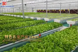 【春潮涌动新甘肃】系列短视频——特色农业产业优势独特图片