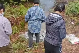 扫墓烧纸宝险酿大祸！消防安全要谨记！图片