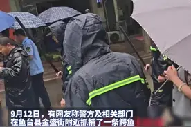 “出逃”鳄鱼被抓获，济宁当地：就一条，嘴是被封着的图片