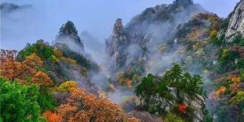 亮相央视！洛阳这些赏秋地，太美！