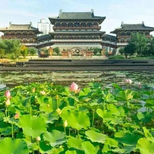 突破次元壁！神都洛阳×《魔域口袋版》联动上线，跟着女帝游盛唐