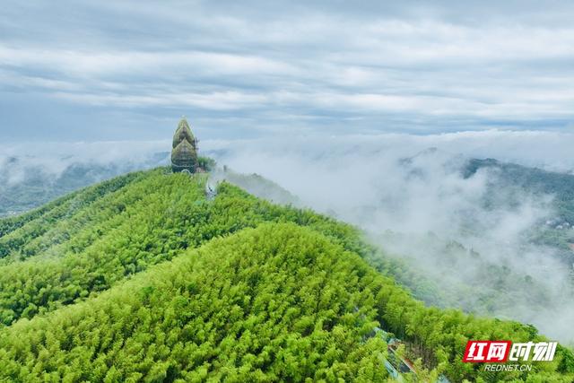 山水为媒清凉相邀 长沙城市中心上演雪峰山四城文旅推介