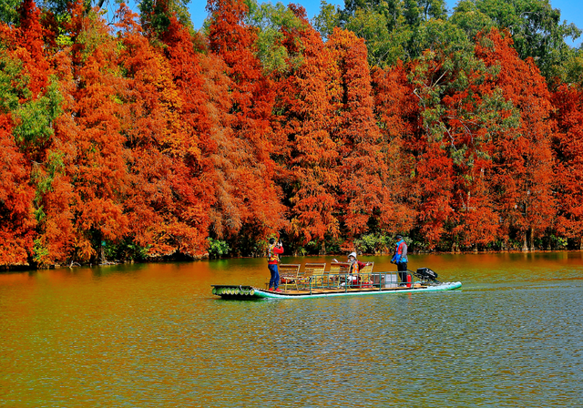 假如秋冬有颜色，肇庆便是一场多彩盛宴～