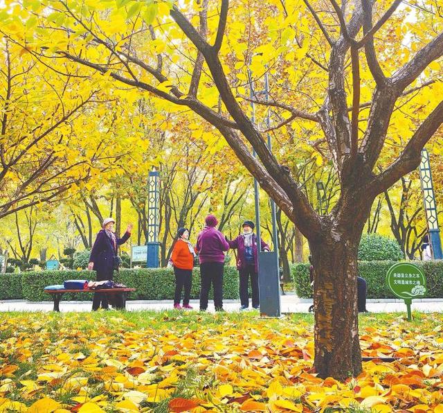 中华公园尽展生态人文暖韵