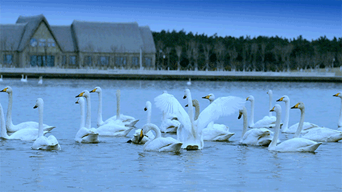 乘着高铁游威海 | 千里山海，等你！