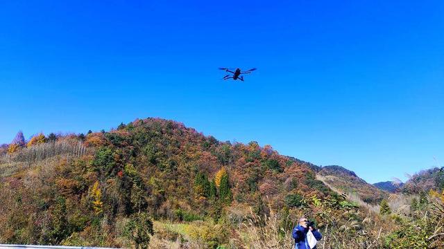 鹤峰：寒日寻秋 一眼尽染