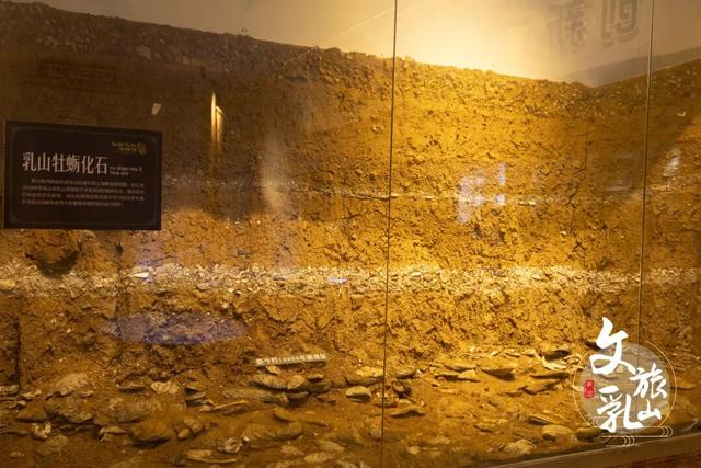 诗意之冬醉威海 | 雅趣新章·海韵风华之旅