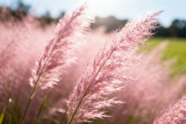 太美了！去北京这里赏“漫山红叶”｜周末京郊微度假