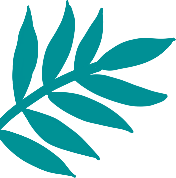 “暖冬遇见防城港”白浪滩景区沙滩车免费趣味体验活动为马拉松奔跑点燃激情！！！