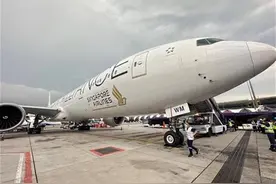 热闻|新加坡航空向SQ321航班乘客发出赔偿：机票全额退，轻伤、重伤均有赔付图片