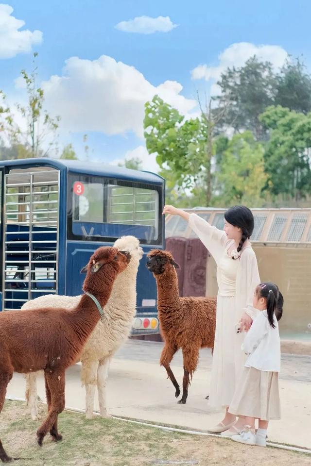 本地人都夸绝！五一黄陂玩法全攻略出炉！