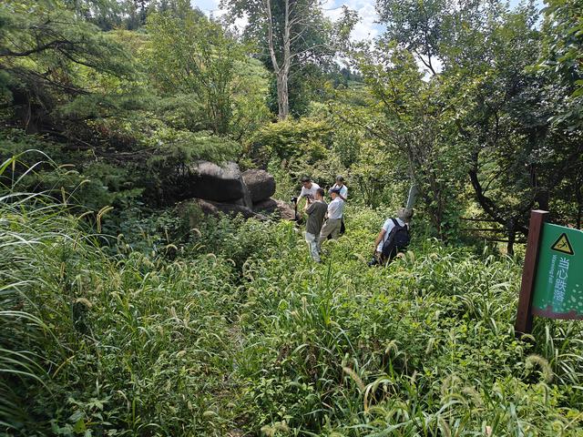 “四明三千里”采风行！跟着诗人游宁波四明山邂逅诗意与清凉