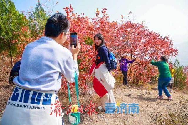 一年四季 泉在济南丨济南蝎子山秋色“美出圈”！半山红妆半山青翠，独特“鸳鸯火锅”景观引客来